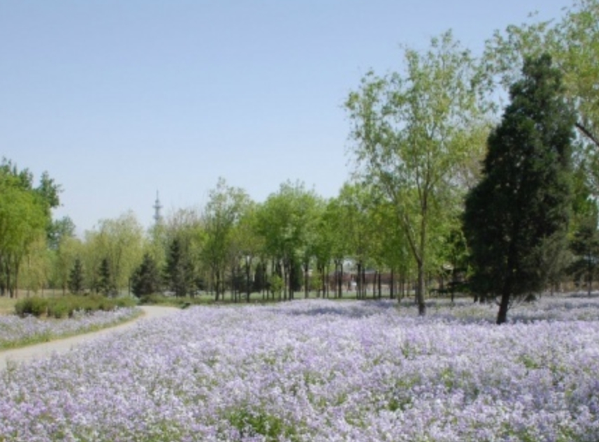 微信截图_20240408192641.png