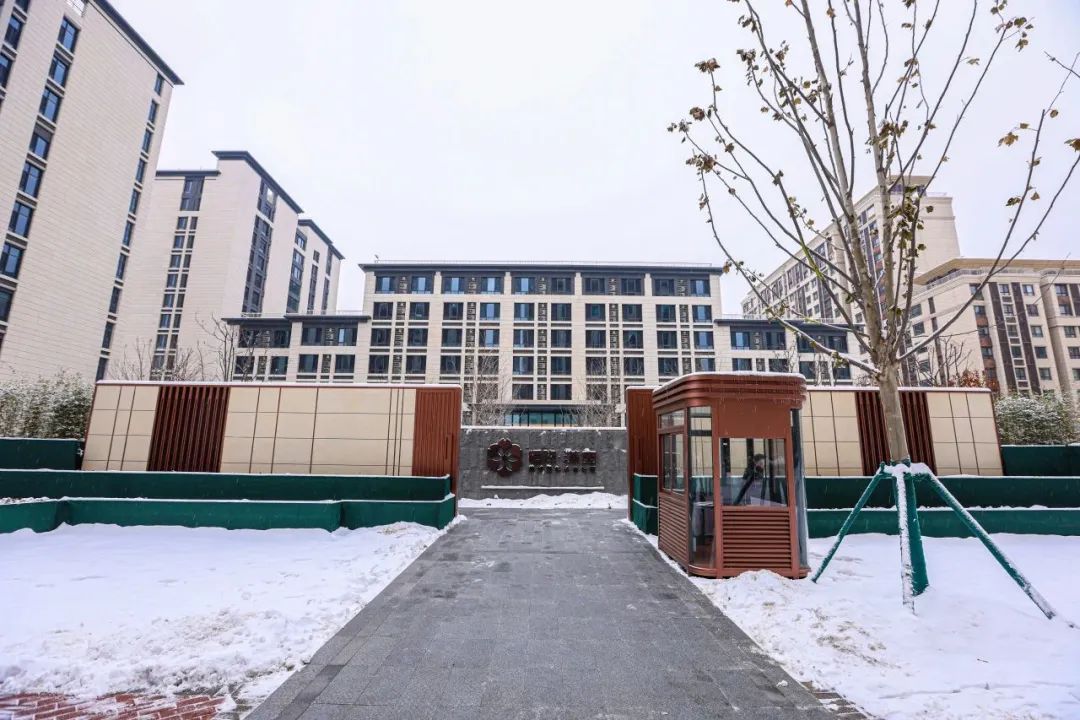 恒煦·满园雪.jpg